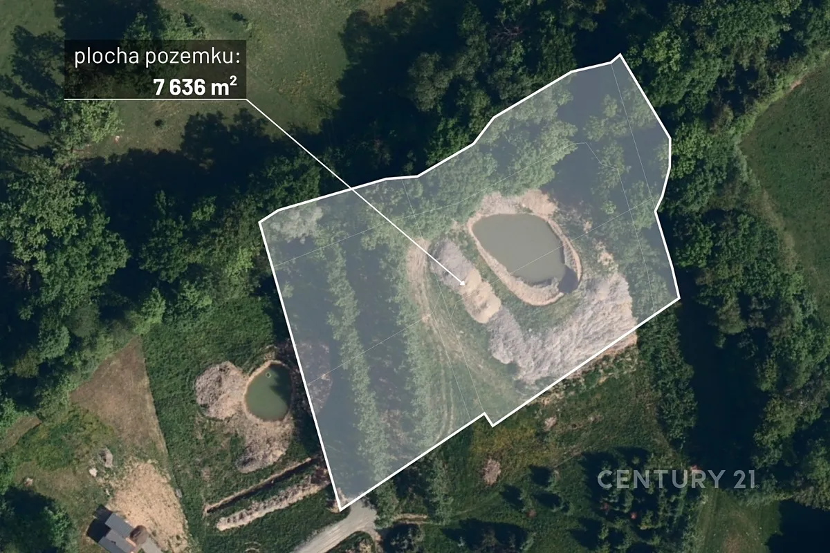 Prodej louky 7636 m²
